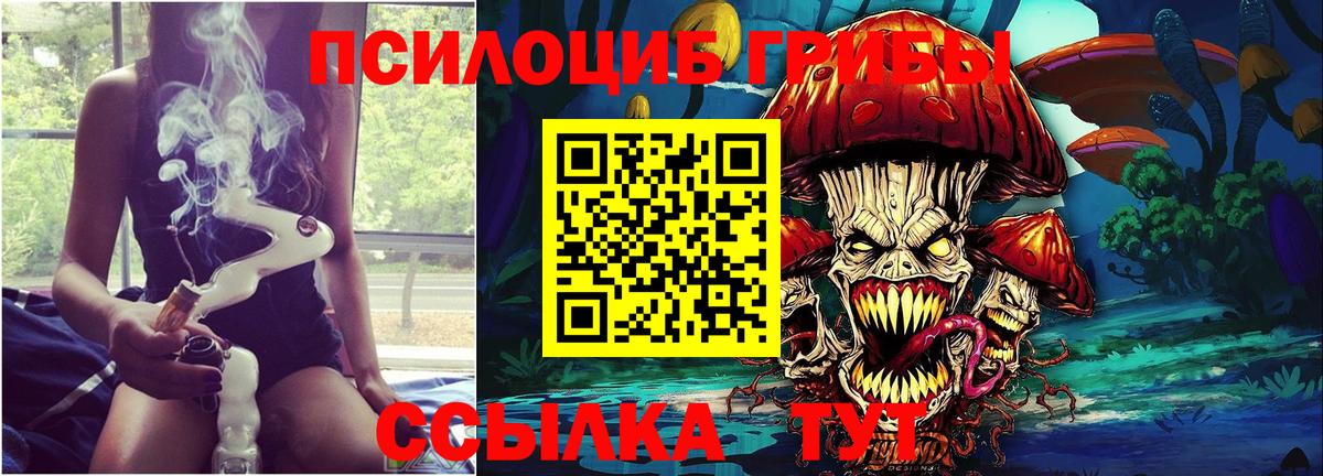 Белгород  Псилоцибиновые грибы мухоморы  Вход с VPN 